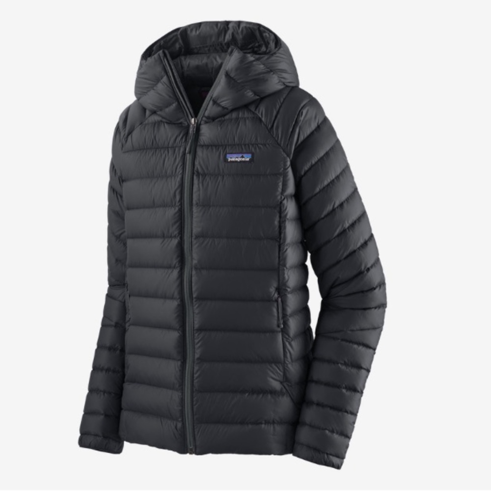 Patagonia down hooded jacket